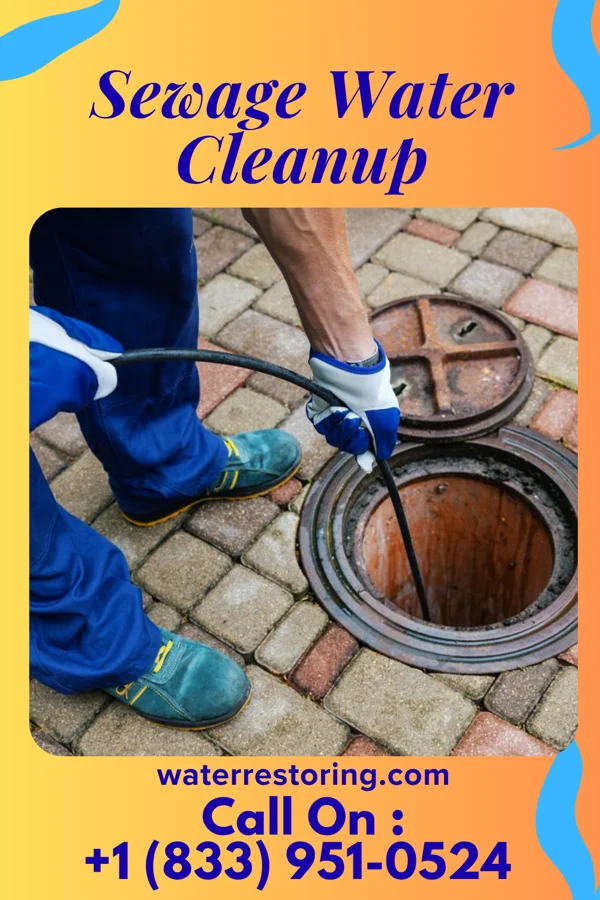 Sewage Water Cleanup in Mascotte, FL