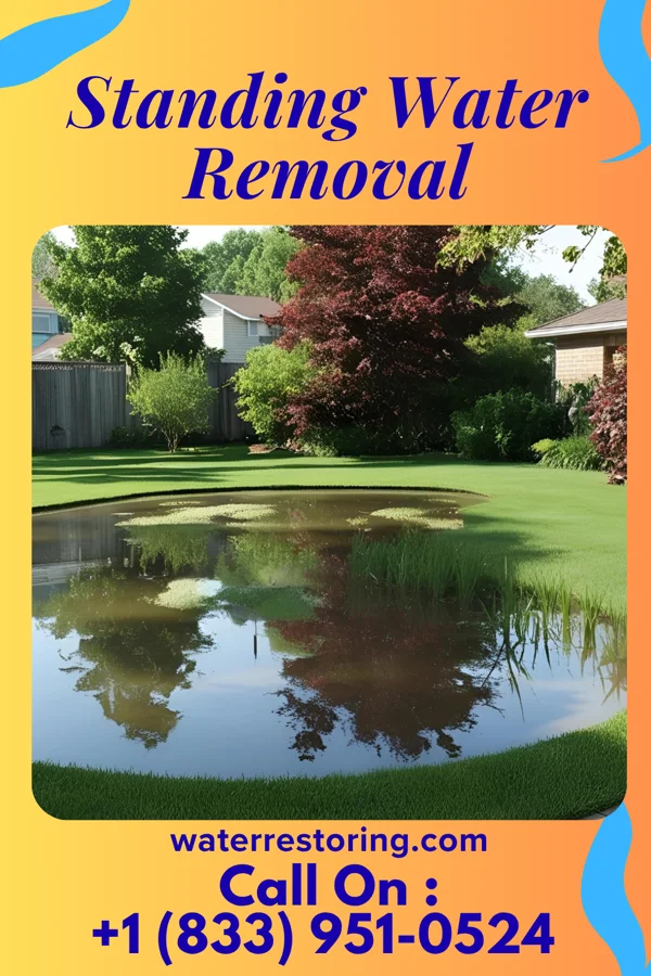 Standing Water Removal in Mascotte, FL